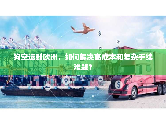 狗空运到欧洲，如何解决高成本和复杂手续难题？