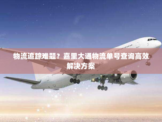 物流追踪难题？嘉里大通物流单号查询高效解决方案