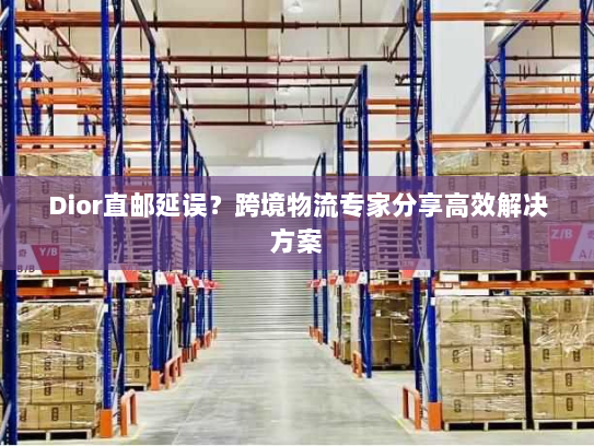 Dior直邮延误？跨境物流专家分享高效解决方案