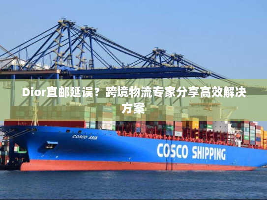Dior直邮延误？跨境物流专家分享高效解决方案