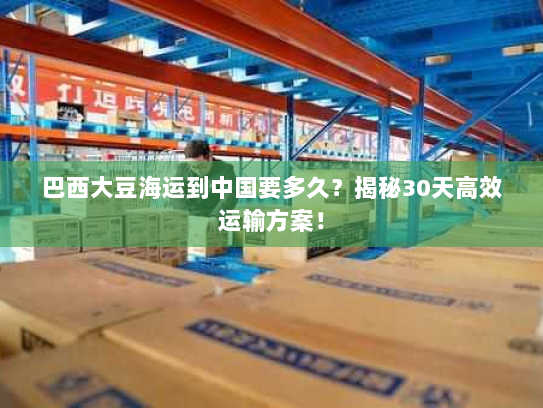 巴西大豆海运到中国要多久?揭秘30天高效运输方案! 巴西大豆海运到中国要多久?揭秘30天高效运输方案!