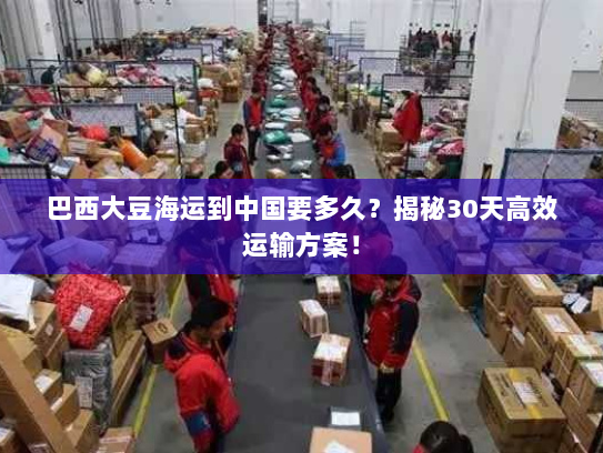 巴西大豆海运到中国要多久?揭秘30天高效运输方案! 巴西大豆海运到中国要多久?揭秘30天高效运输方案!