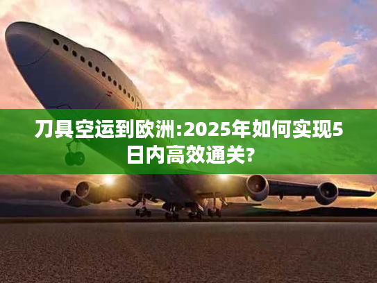 刀具空运到欧洲:2025年如何实现5日内高效通关?