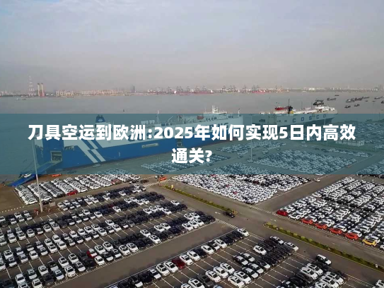 刀具空运到欧洲:2025年如何实现5日内高效通关? 刀具空运到欧洲:2025年如何实现5日内高效通关?