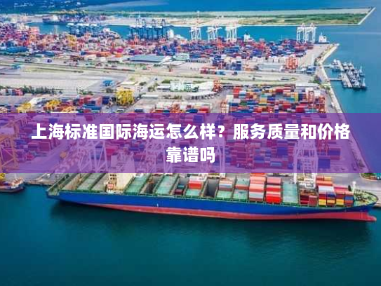 上海标准国际海运怎么样？服务质量和价格靠谱吗