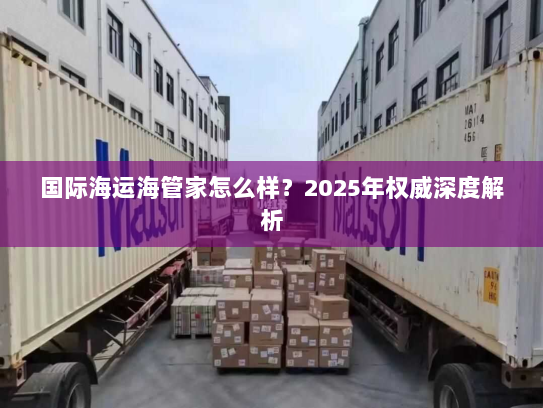 国际海运海管家怎么样?2025年权威深度解析 国际海运海管家怎么样?2025年权威深度解析