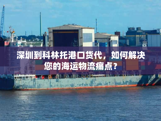深圳到科林托港口货代，如何解决您的海运物流痛点？