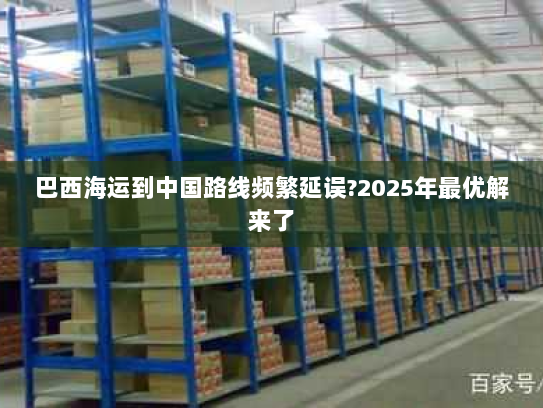 巴西海运到中国路线频繁延误?2025年最优解来了 巴西海运到中国路线频繁延误?2025年最优解来了