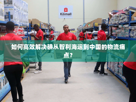 如何高效解决碘从智利海运到中国的物流痛点? 如何高效解决碘从智利海运到中国的物流痛点?