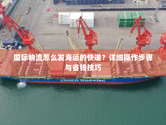 国际物流怎么发海运的快递?详细操作步骤与省钱技巧 国际物流怎么发海运的快递?详细操作步骤与省钱技巧