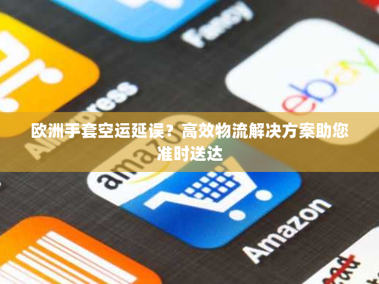 欧洲手套空运延误?高效物流解决方案助您准时送达 欧洲手套空运延误?高效物流解决方案助您准时送达
