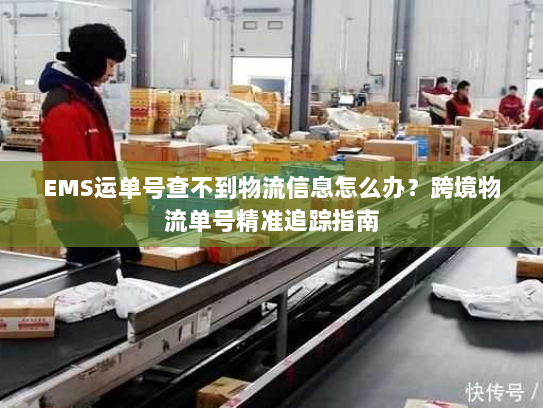 EMS运单号查不到物流信息怎么办?跨境物流单号精准追踪指南 EMS运单号查不到物流信息怎么办?跨境物流单号精准追踪指南