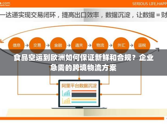 食品空运到欧洲如何保证新鲜和合规?企业急需的跨境物流方案 食品空运到欧洲如何保证新鲜和合规?企业急需的跨境物流方案