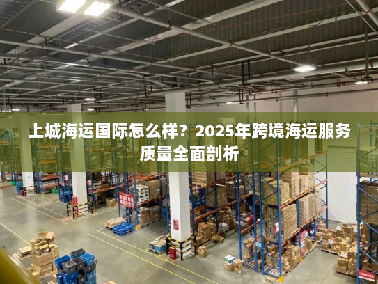 上城海运国际怎么样？2025年跨境海运服务质量全面剖析