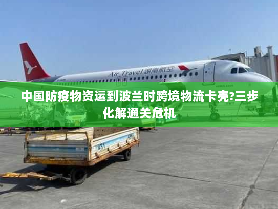 中国防疫物资运到波兰时跨境物流卡壳?三步化解通关危机 中国防疫物资运到波兰时跨境物流卡壳?三步化解通关危机
