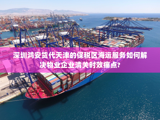 深圳鸿安货代天津的保税区海运服务如何解决物业企业清关时效痛点?