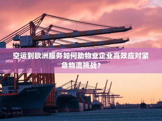 空运到欧洲服务如何助物业企业高效应对紧急物流挑战? 空运到欧洲服务如何助物业企业高效应对紧急物流挑战?