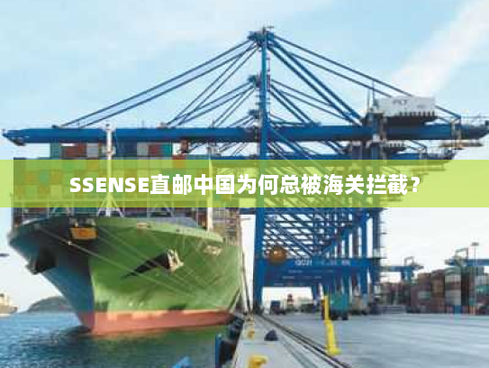 SSENSE直邮中国为何总被海关拦截？