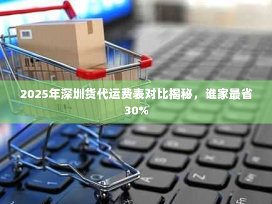 2025年深圳货代运费表对比揭秘，谁家最省30%