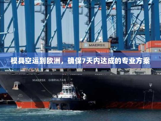 模具空运到欧洲，确保7天内达成的专业方案