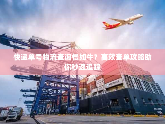 快递单号物流查询慢如牛?高效查单攻略助你秒速追踪 快递单号物流查询慢如牛?高效查单攻略助你秒速追踪