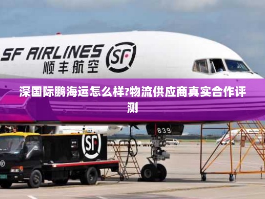 深国际鹏海运怎么样?物流供应商真实合作评测