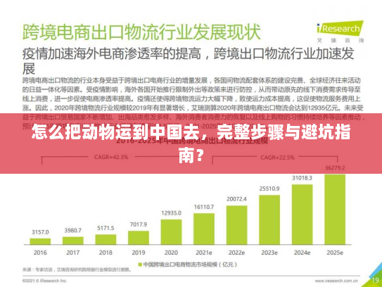 怎么把动物运到中国去，完整步骤与避坑指南？