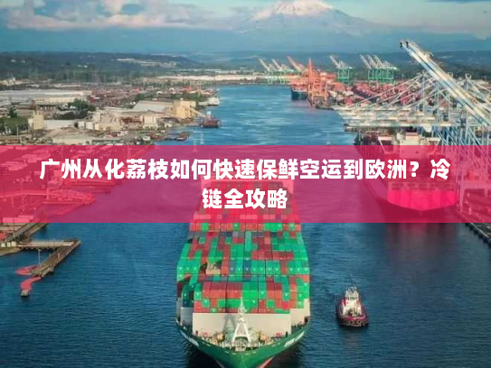 广州从化荔枝如何快速保鲜空运到欧洲?冷链全攻略 广州从化荔枝如何快速保鲜空运到欧洲?冷链全攻略