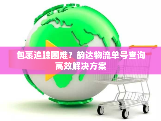包裹追踪困难？韵达物流单号查询高效解决方案
