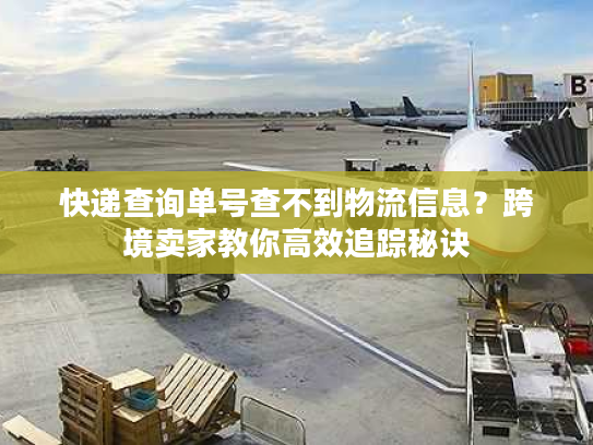 快递查询单号查不到物流信息?跨境卖家教你高效追踪秘诀 快递查询单号查不到物流信息?跨境卖家教你高效追踪秘诀