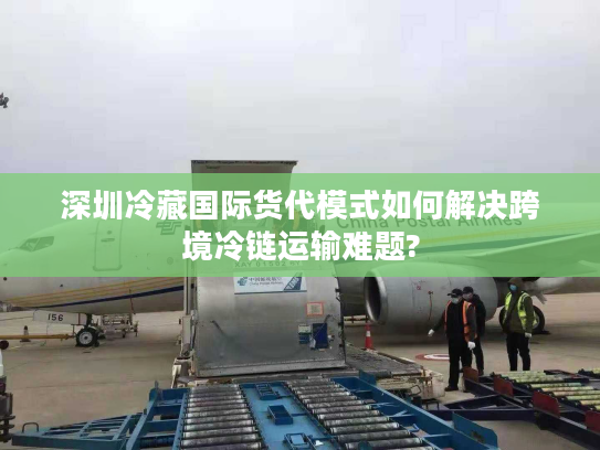 深圳冷藏国际货代模式如何解决跨境冷链运输难题?