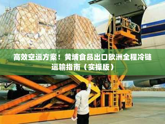 高效空运方案!黄埔食品出口欧洲全程冷链运输指南(实操版) 高效空运方案!黄埔食品出口欧洲全程冷链运输指南(实操版)