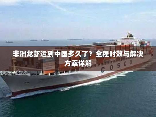 非洲龙虾运到中国多久了?全程时效与解决方案详解 非洲龙虾运到中国多久了?全程时效与解决方案详解