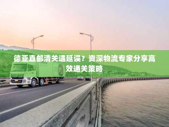 德亚直邮清关遇延误？资深物流专家分享高效通关策略
