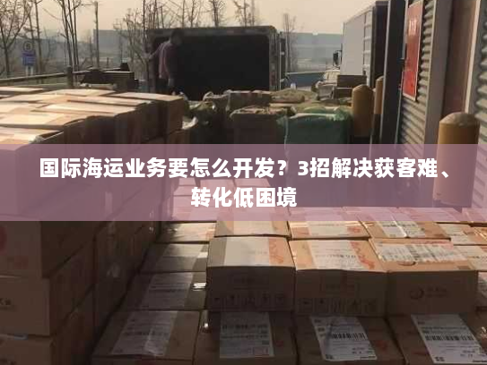 国际海运业务要怎么开发？3招解决获客难、转化低困境