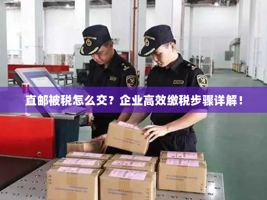 直邮被税怎么交?企业高效缴税步骤详解! 直邮被税怎么交?企业高效缴税步骤详解!