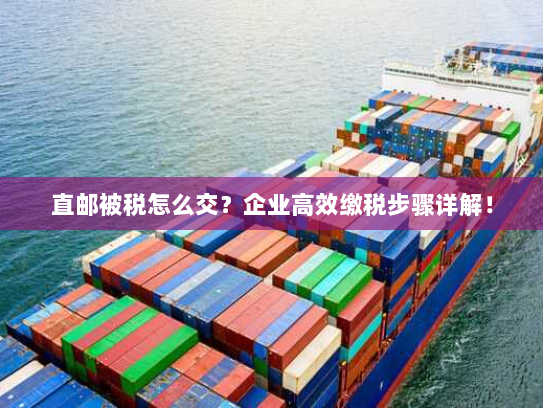 直邮被税怎么交?企业高效缴税步骤详解! 直邮被税怎么交?企业高效缴税步骤详解!
