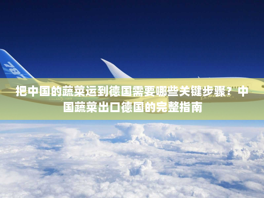 把中国的蔬菜运到德国需要哪些关键步骤？中国蔬菜出口德国的完整指南