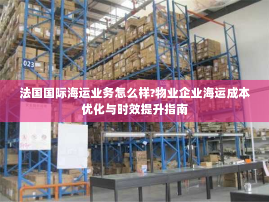 法国国际海运业务怎么样?物业企业海运成本优化与时效提升指南 法国国际海运业务怎么样?物业企业海运成本优化与时效提升指南