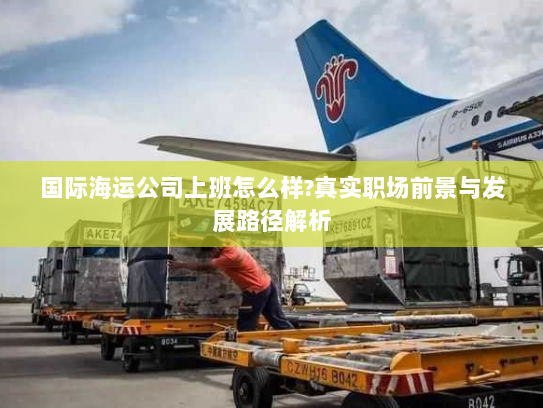 国际海运公司上班怎么样?真实职场前景与发展路径解析 国际海运公司上班怎么样?真实职场前景与发展路径解析