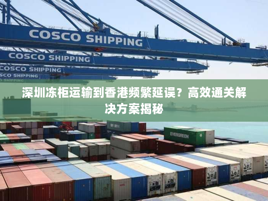 深圳冻柜运输到香港频繁延误?高效通关解决方案揭秘 深圳冻柜运输到香港频繁延误?高效通关解决方案揭秘