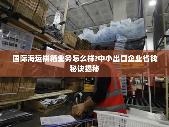 国际海运拼箱业务怎么样?中小出口企业省钱秘诀揭秘