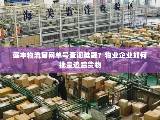 盛丰物流官网单号查询难题？物业企业如何批量追踪货物