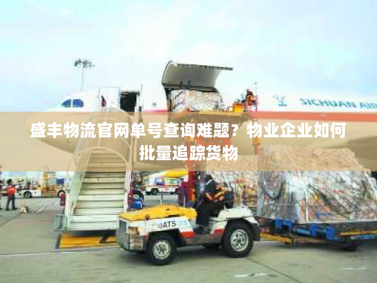 盛丰物流官网单号查询难题？物业企业如何批量追踪货物