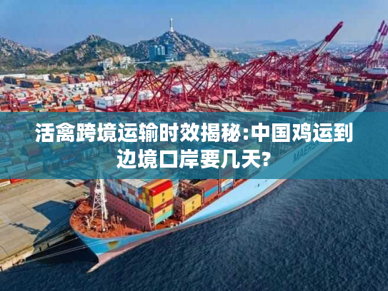 活禽跨境运输时效揭秘:中国鸡运到边境口岸要几天?