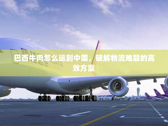 巴西牛肉怎么运到中国,破解物流难题的高效方案 巴西牛肉怎么运到中国,破解物流难题的高效方案