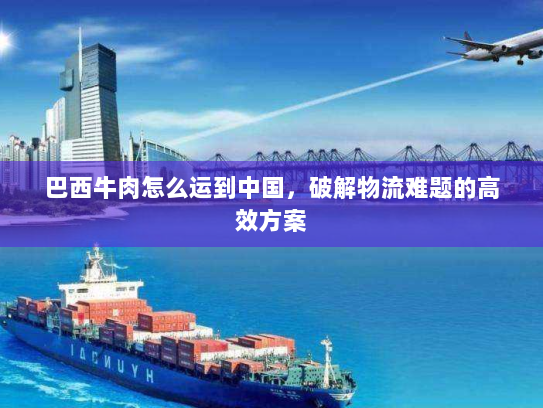 巴西牛肉怎么运到中国,破解物流难题的高效方案 巴西牛肉怎么运到中国,破解物流难题的高效方案