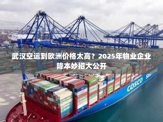 武汉空运到欧洲价格太高?2025年物业企业降本妙招大公开 武汉空运到欧洲价格太高?2025年物业企业降本妙招大公开