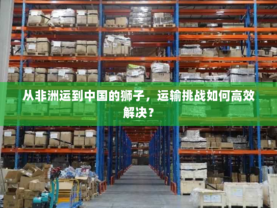 从非洲运到中国的狮子,运输挑战如何高效解决? 从非洲运到中国的狮子,运输挑战如何高效解决?