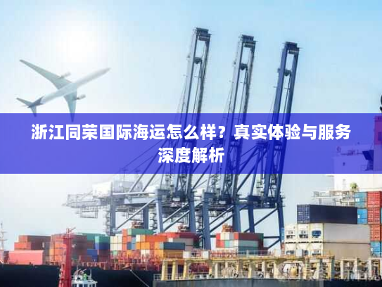 浙江同荣国际海运怎么样？真实体验与服务深度解析